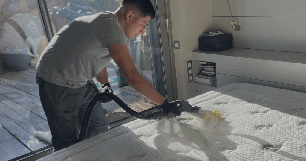 Servicio de limpieza a domicilio sin productos químicos con vapor de alta temperatura, realizado por Plazy.