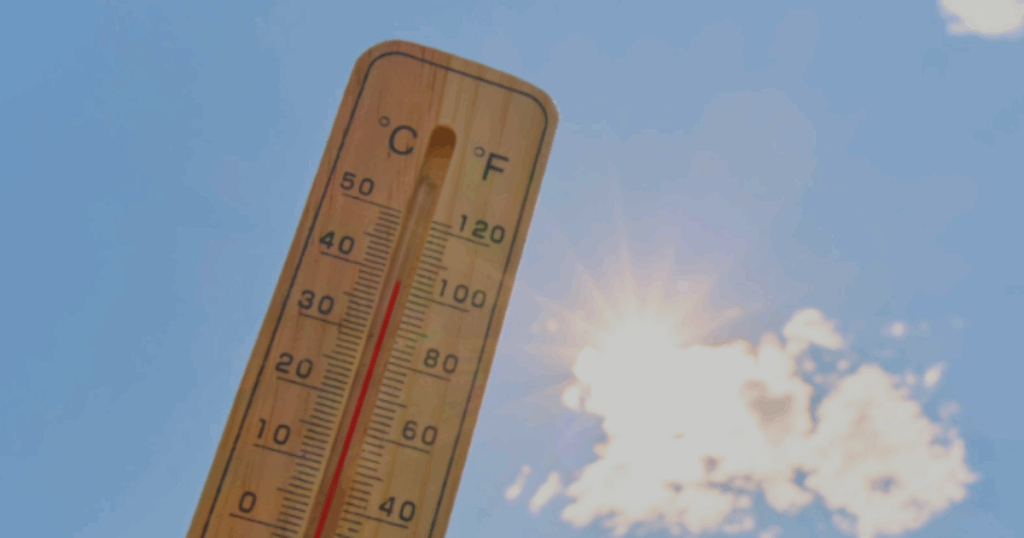 Este verano, evita los daños en coches por calor extremo con las limpiezas a domicilio y sostenibles de Plazy.