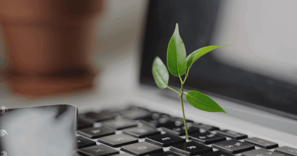 Sostenibilidad empresarial en limpieza corporativa con Plazy: personal usando métodos eficientes y responsables con el medio ambiente